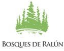 Canvas Logo