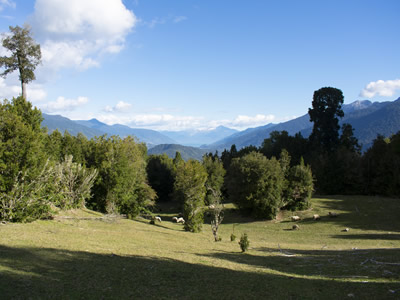 Tipo Terraza